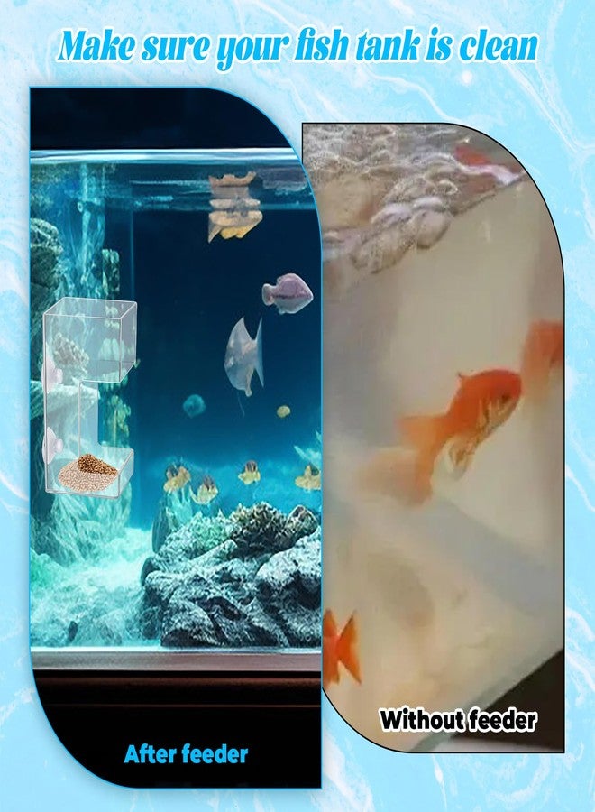 Alrhso Fish Tank Feeding Tray Fish Tank Feeder Aquarium Feeding Dish with Suction Cup 3.9x2.4 Inch Feeding-Tube Ring Container Holder Dispenser for Shrimp Turtle - Image 4